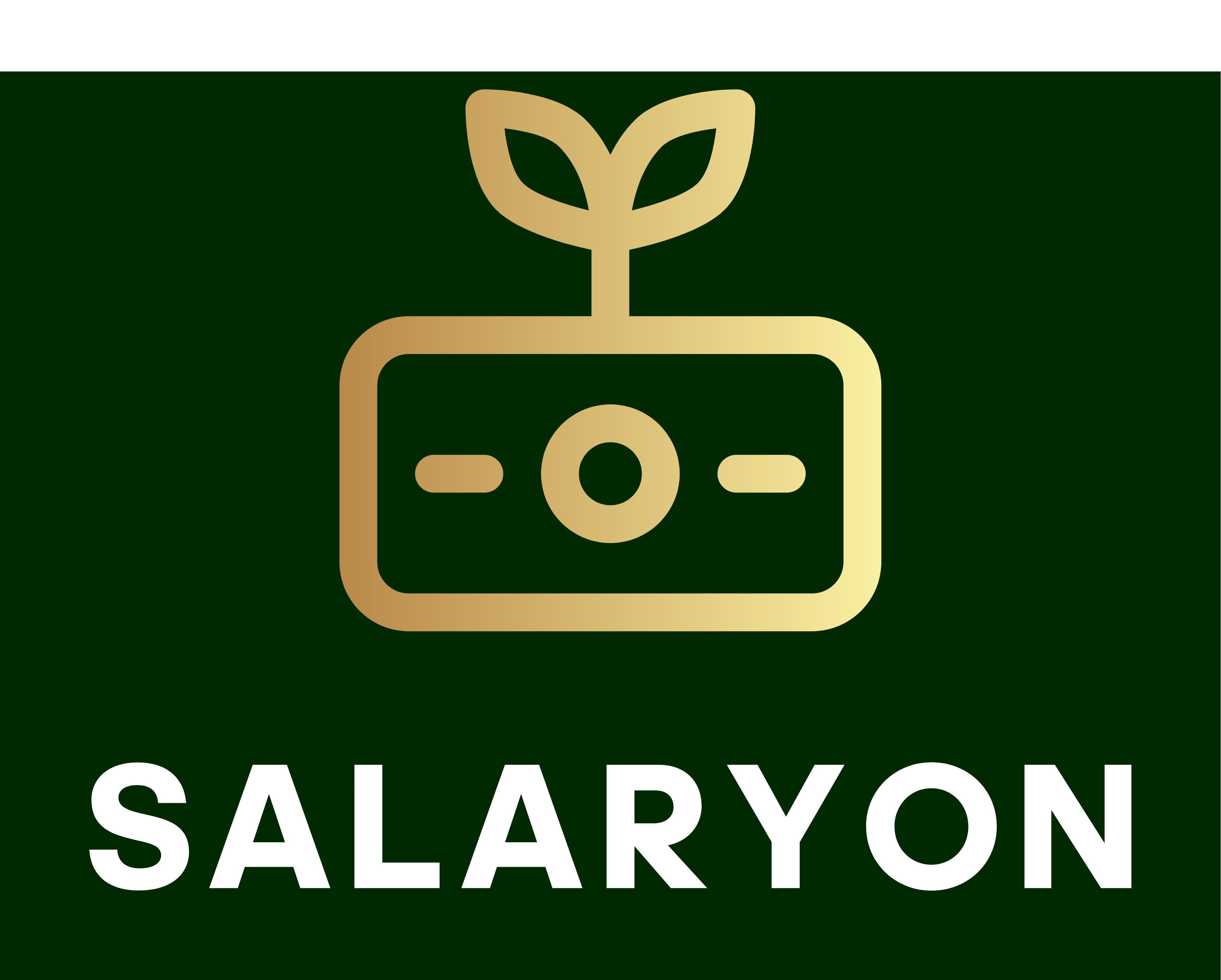 Salaryon app interface